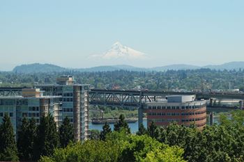 Beautiful mountain, river, and city views